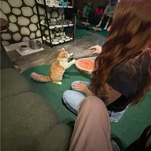 Meet your Posher, Emma